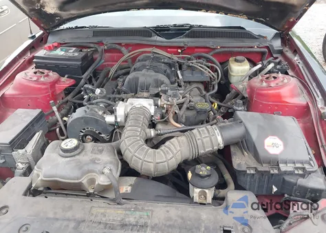 2005 Ford Mustang V6 Deluxe/V6 Premium z USA, uszkodzony, nr VIN 1ZVFT80N755128416